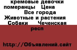 кремовые девочки померанцы › Цена ­ 30 000 - Все города Животные и растения » Собаки   . Чеченская респ.